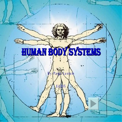 The Human Body System