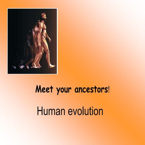 human-evolution.pptx