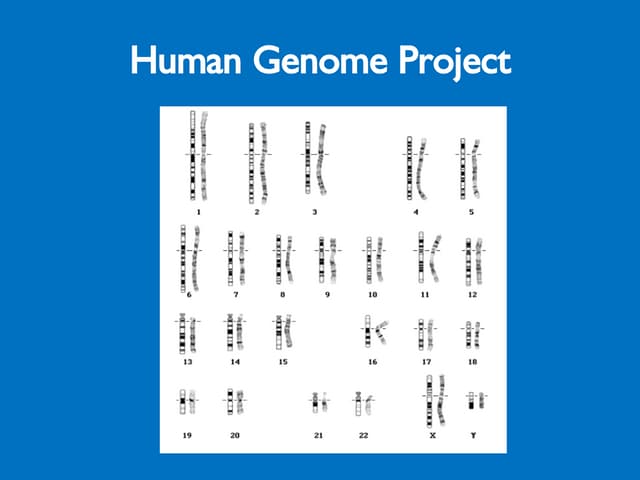 Human Genome Project