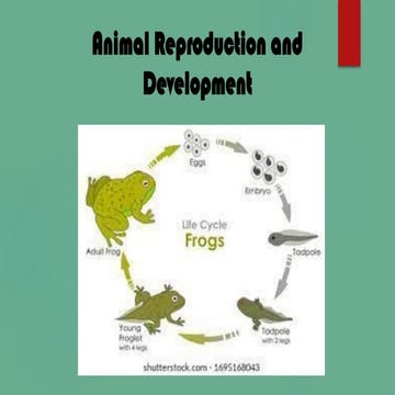 Reproductive cycles - Semelparity & Iteroparity Maturation & Maturity ...