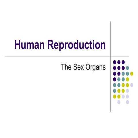 Human Reproduction   Sex Organs
