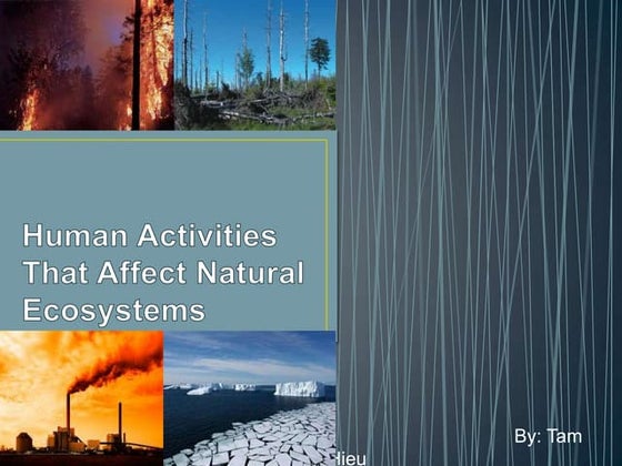 Human activities and impact on environment | PPT