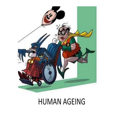 Human ageing process