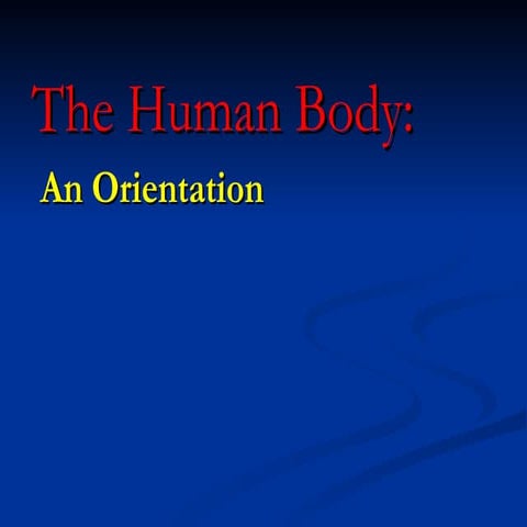 Human Anatomy | PPT