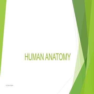Human anatomy | PPT