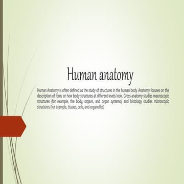 HUMAN anatomy(Explanation about all system)).pptx