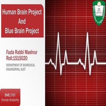 Human Brain Project and Blue Brain Project
