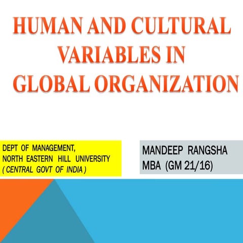 HUMAN AND CULTURAL VARIABLES IN GLOBAL ORGANIZATION