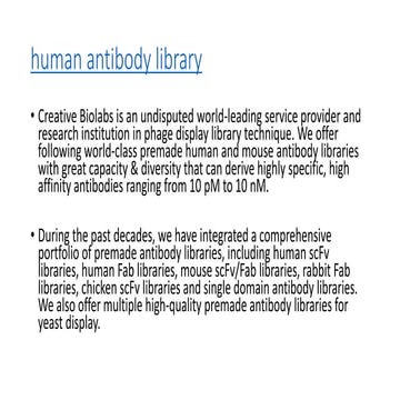 Human antibody library