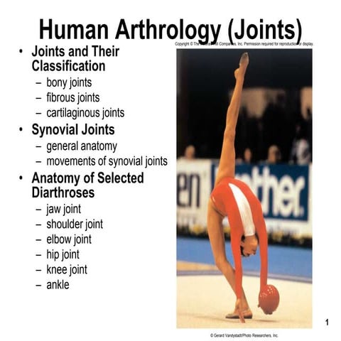 Human Arthrology874389835RUHDD7544F7.ppt