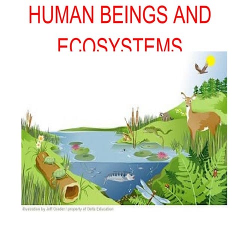 Human beings and ecosystems