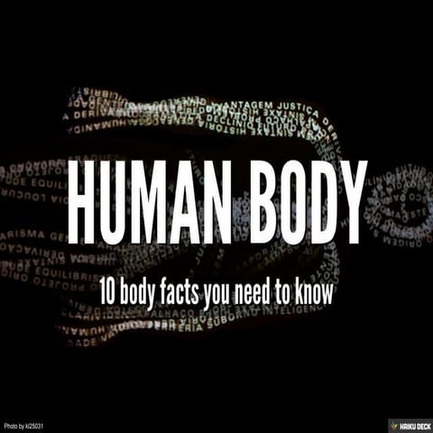 Human Body  - 10 Facts