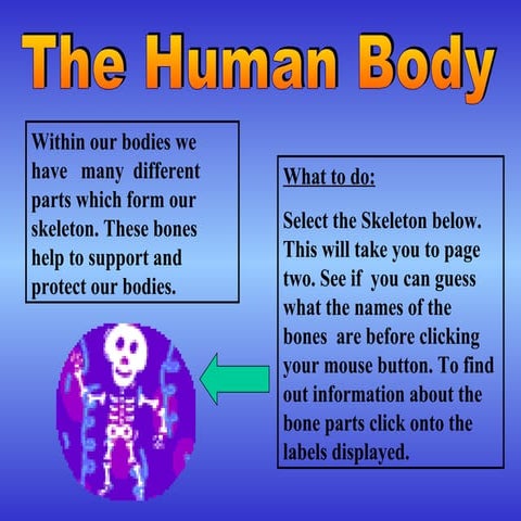 Humanbody