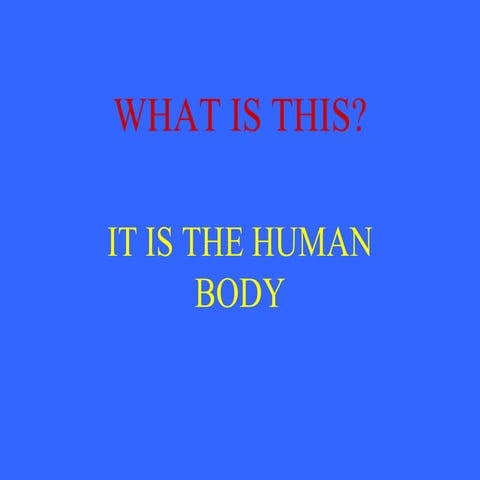 Human body