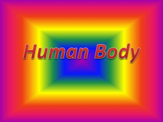 what joints are in a chicken wing