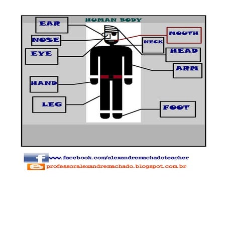 Human body. | PDF