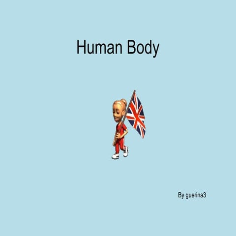 Human body