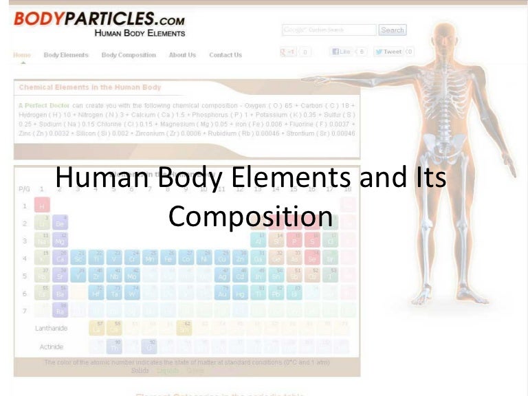 Human Body Elements