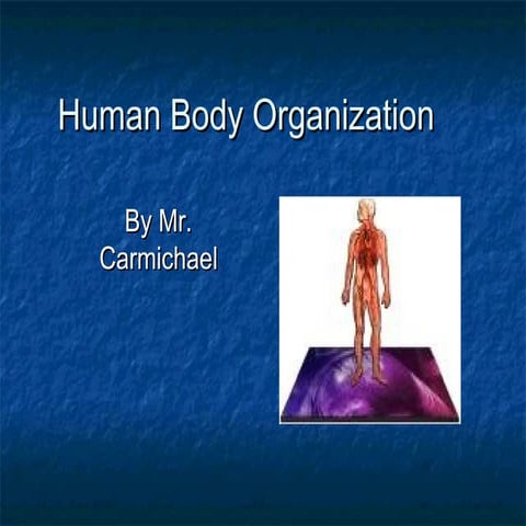 Human Body Organizations