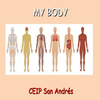 Human body powerpoint