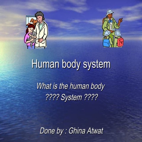 Human Body System