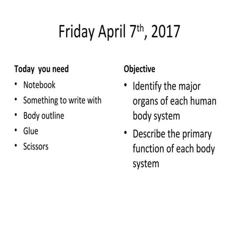 Human body systems general overview