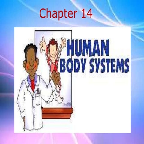 Chapter 4 : Human Body Systems