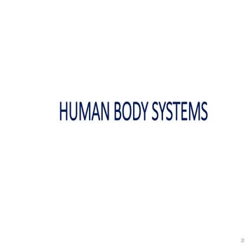 Human Body Systemspptx Biology Diagrams