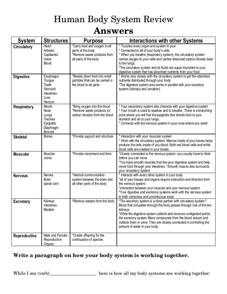 Body Systems Chart Answers