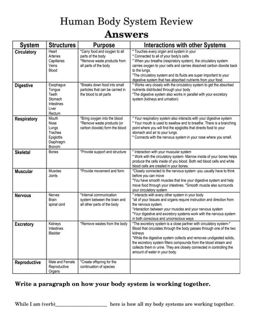 Body Systems Chart Worksheet Answers