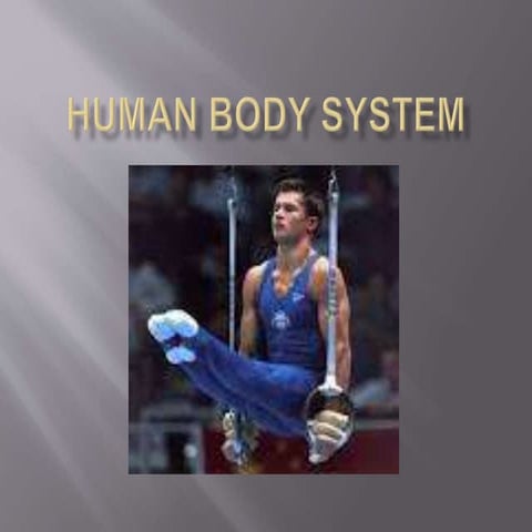 The Human Body System