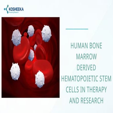 Human Bone Marrow-derived Hematopoietic Stem Cells in Therapy and ...