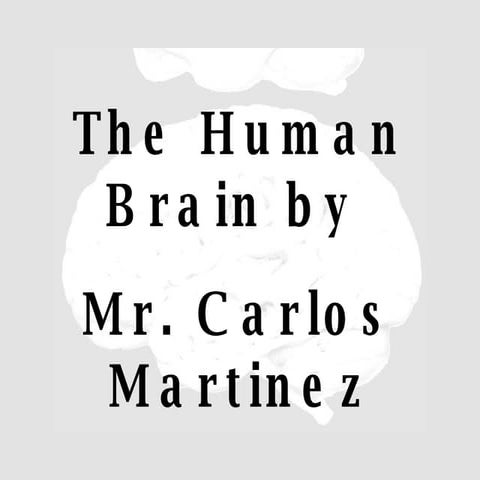 Human Brain