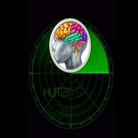 The Human Brain 