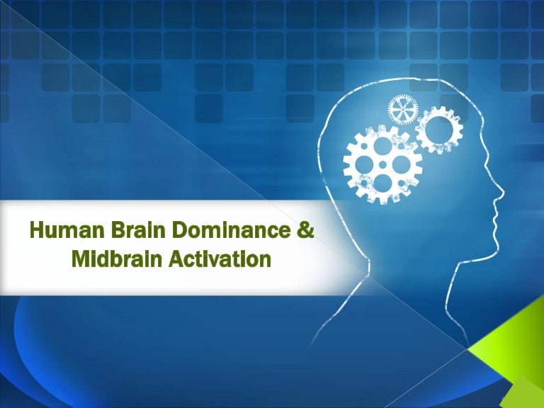 Human brain dominance and mid brain activation