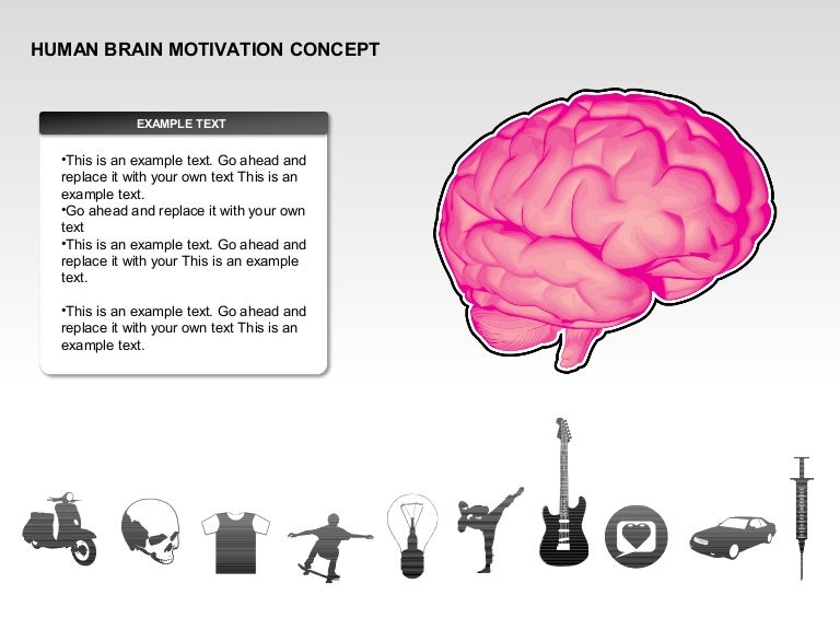 Human Brain Motivation Diagrams