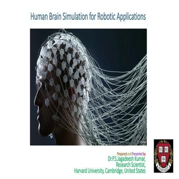 Human Brain Simulation for Robotic Applications