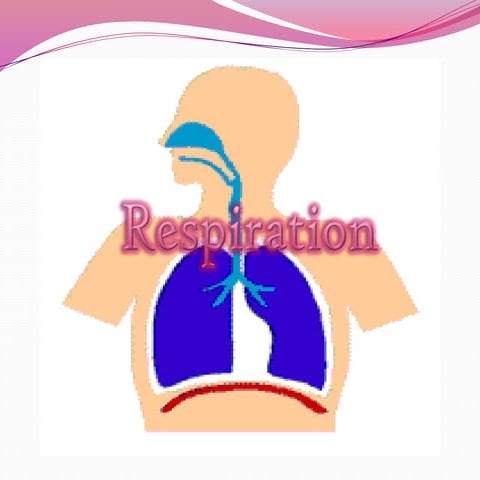 Human breathing 2.1