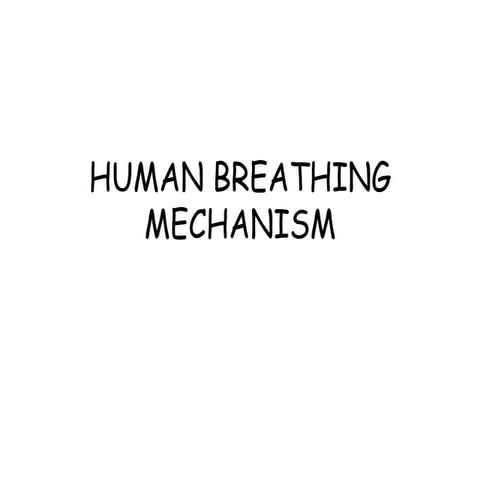Human breathing mechanism 1 ppt