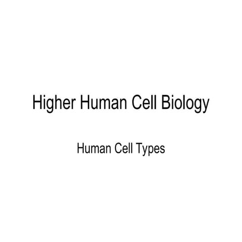 Human Cell Types Human Cell Types Human.