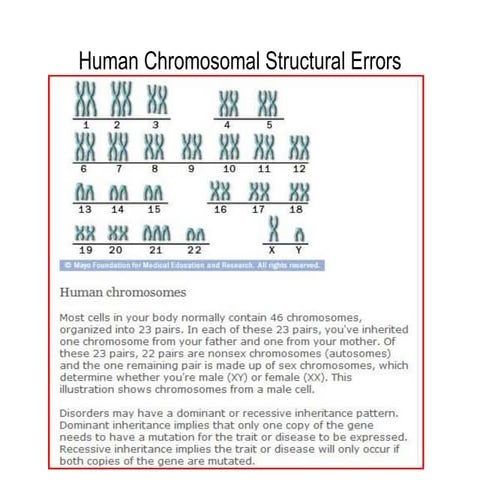 Human chromosomal structural errors | PPT