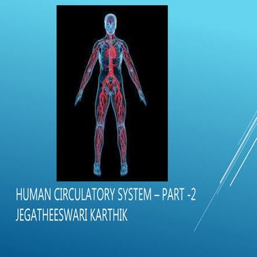 Human circulatory system   part-2