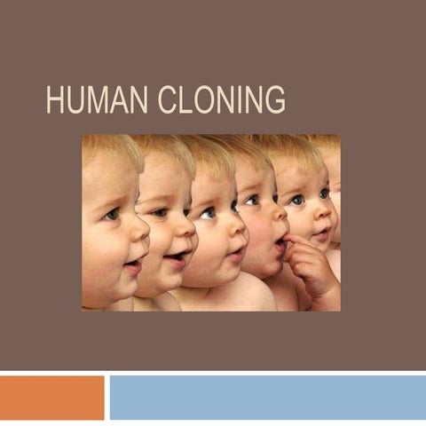 Human cloning