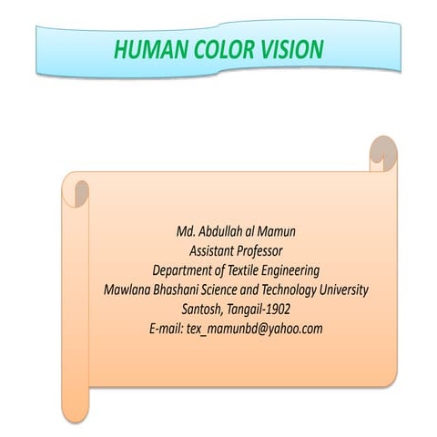 Human color vision | PPT
