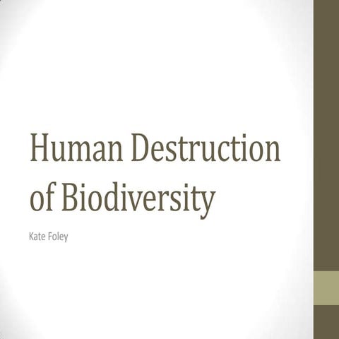 Human destruction of biodiversity  kate foley