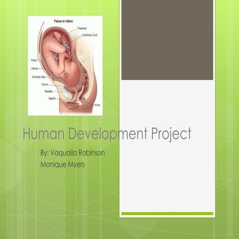 Human development project