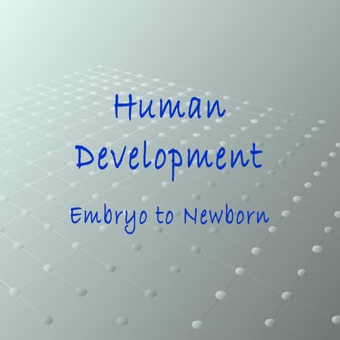Human+development pvms