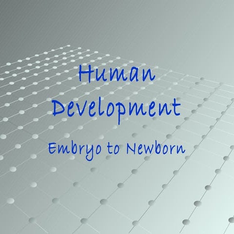 Human+development pvms[1]