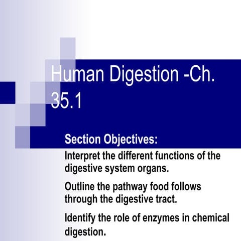 Human digestion _ch[1]._35