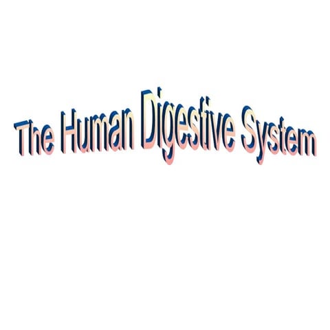 HUMAN DIGESTIVE SYSTEM.ppt